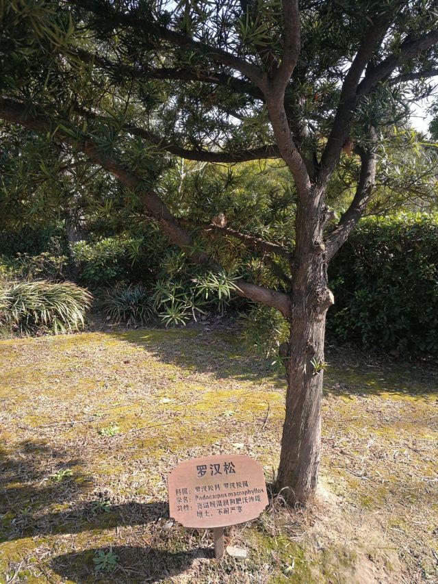 新江湾湿地生态观鸟拍鸟基地旅行图片 8