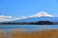 富士山-富士宫市-C-IMAGE