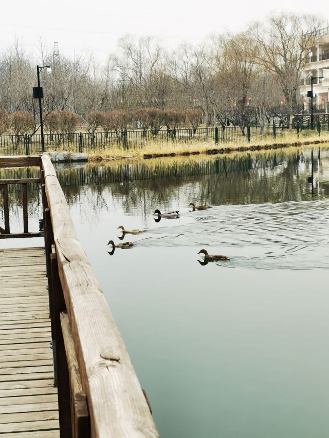 古塔公园旅行图片 6