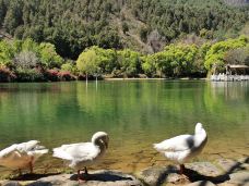 桃源村-大理市-马仁小屋