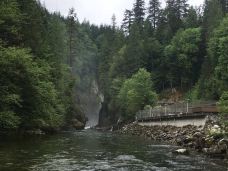 林恩峡谷公园-北温哥华