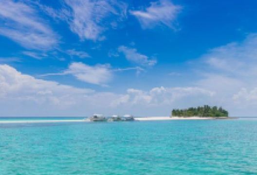 巧克力岛景点图片