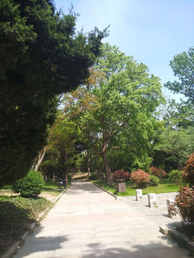 金水河公园旅行图片 2