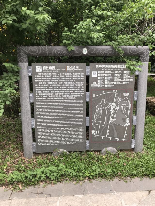 华阳湖国家湿地公园旅行图片 5