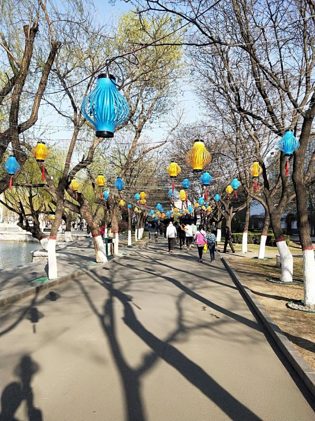 宣化人民公园旅行图片 3