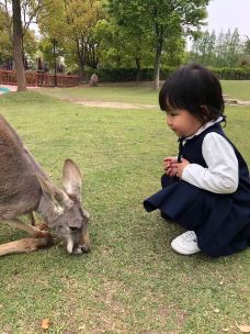 南昌动物园-南昌-健康美丽的芳芳