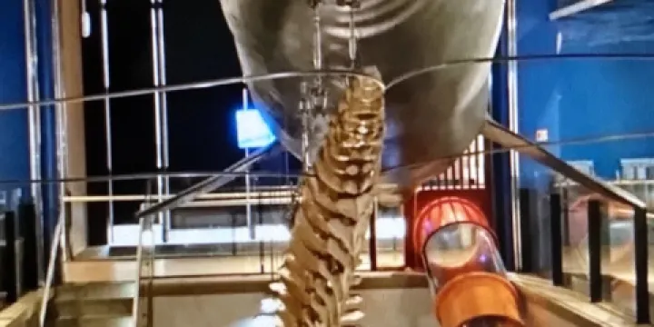 長生浦鯨魚博物館