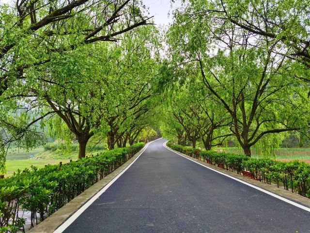 长坡岭国家森林公园旅行图片 1