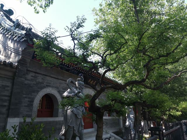 通教寺旅行图片 3