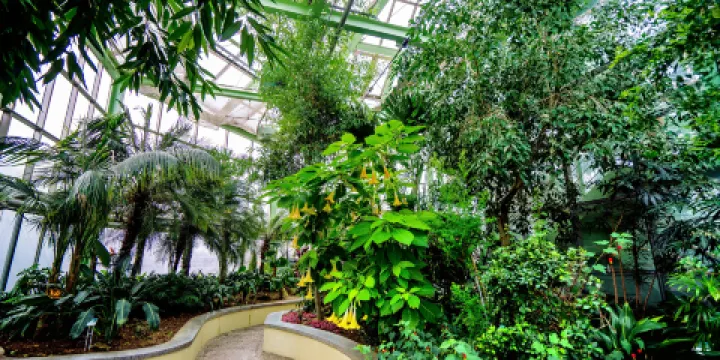 江原道立花木園