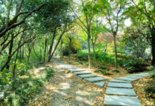 钱庙乡旅游图片-利辛观光1日游