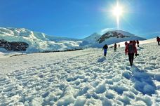 半月岛-南设得兰群岛-尊敬的会员