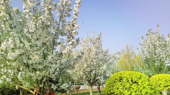 臨隩公園
