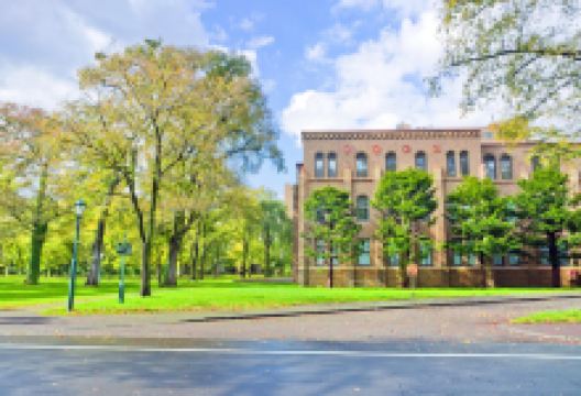 北海道大学景点图片