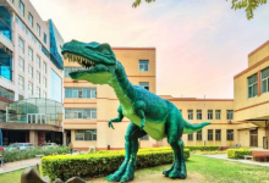 河北地质大学地球科学博物馆景点图片