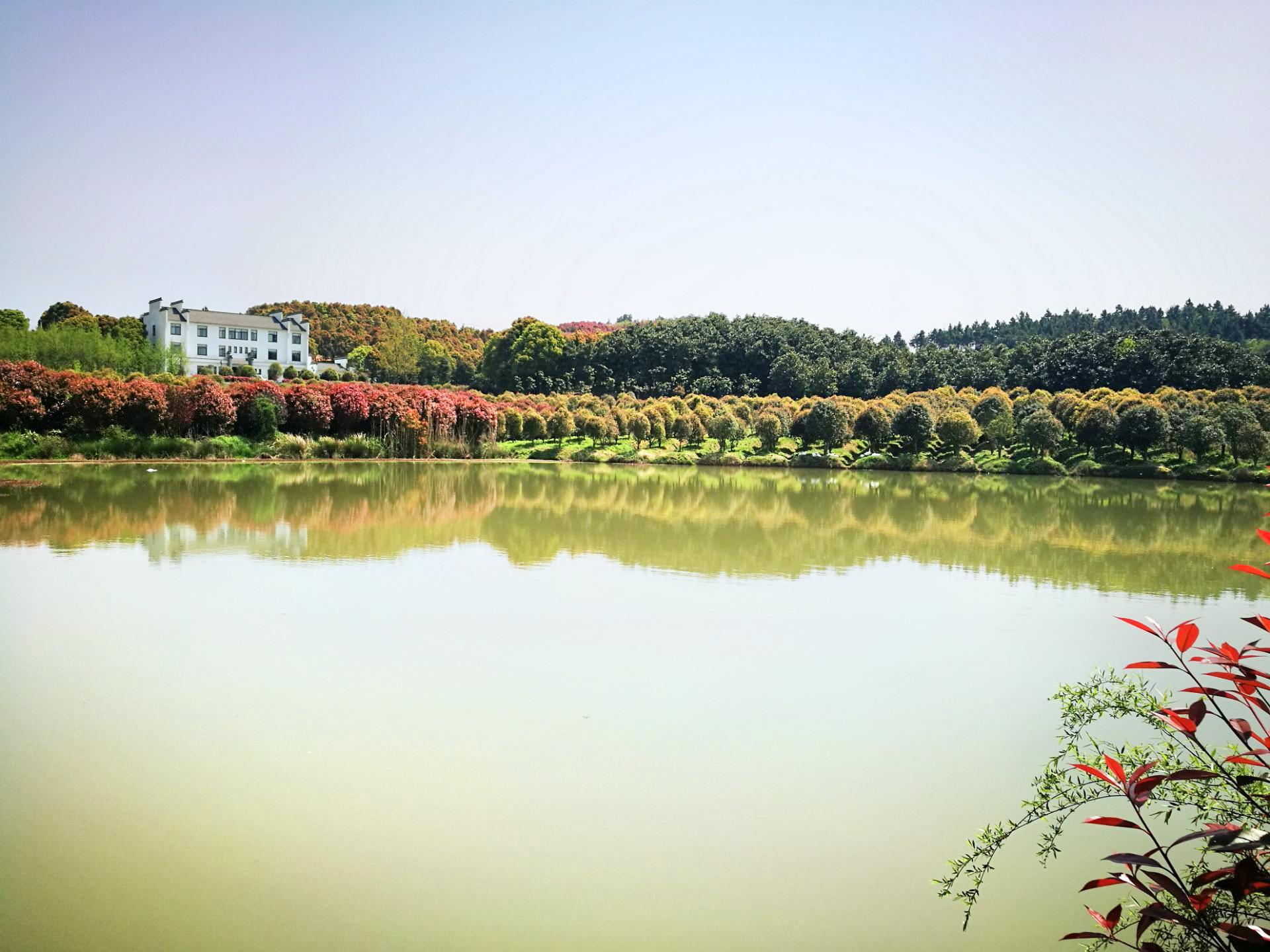 黄陂湖湿地