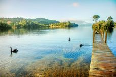 塔拉韦拉湖-Lake Tarawera-尊敬的会员