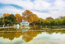 牡丹公园景点图片