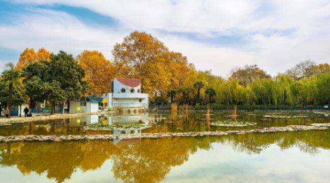 洛阳 牡丹公园 (8)