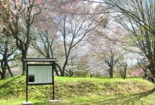 岩切城跡景点图片