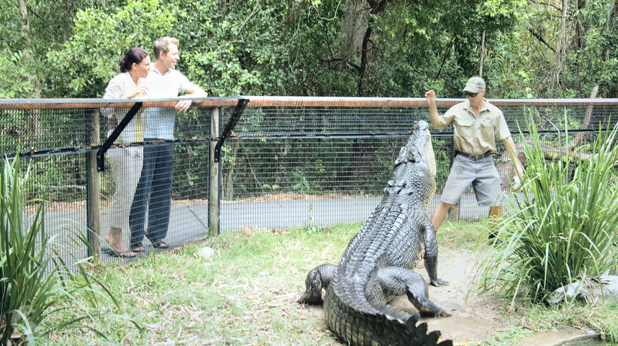 Hartley's Crocodile Adventures