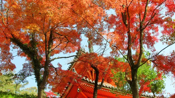 三瀧寺