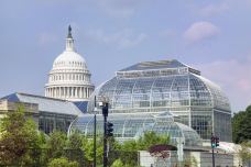 美国国家植物园-华盛顿-doris圈圈