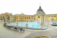 布达佩斯-doris圈圈