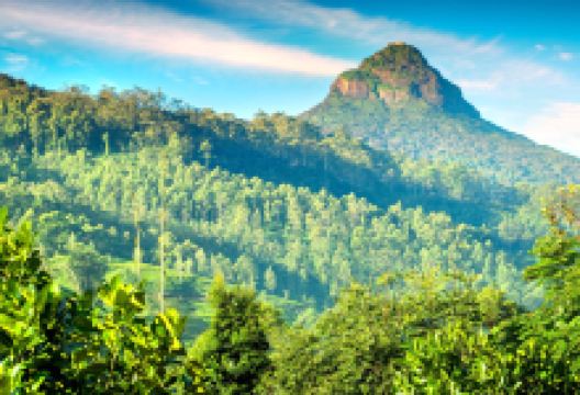 亚当峰景点图片