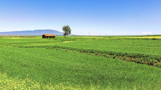 甘肅民樂-扁都口