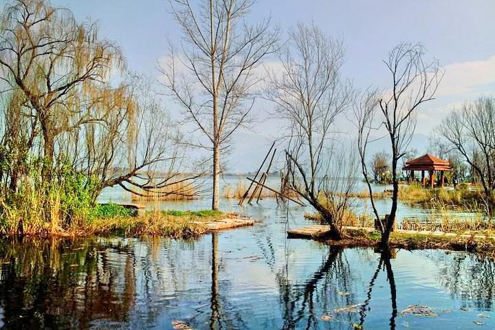观鸟岛湿地公园