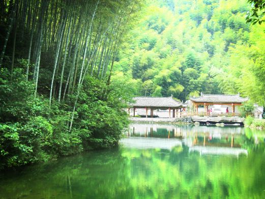木坑竹海