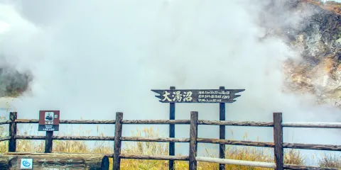 大湯沼川天然足湯