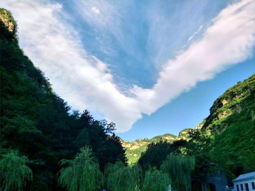 千佛山森林公园