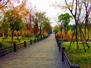 上海旅游：寻访吴淞两江交汇奔流入海的地方（图）