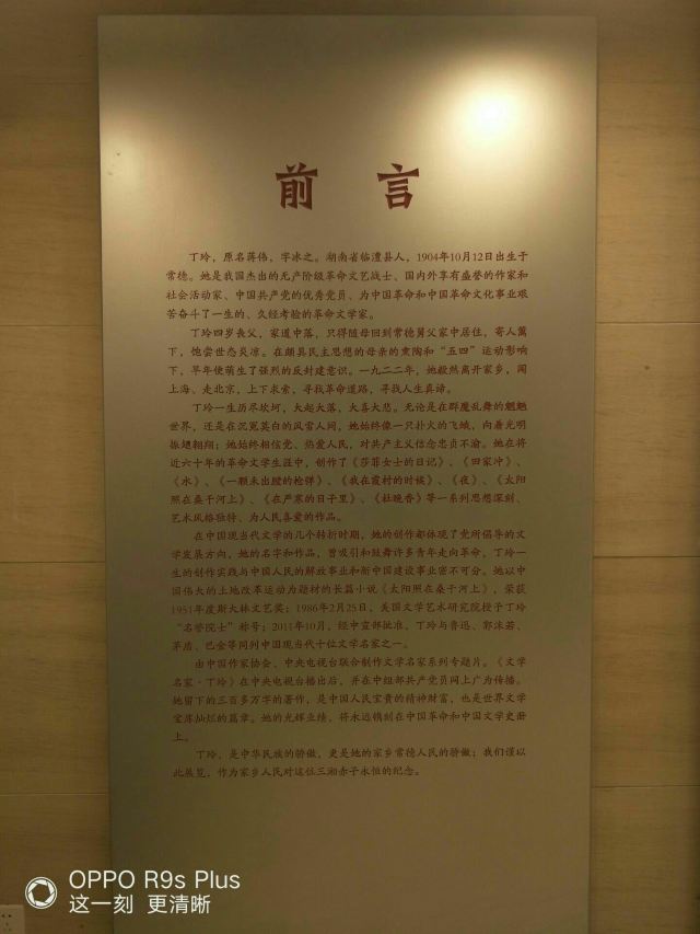 丁玲公园旅行图片 7