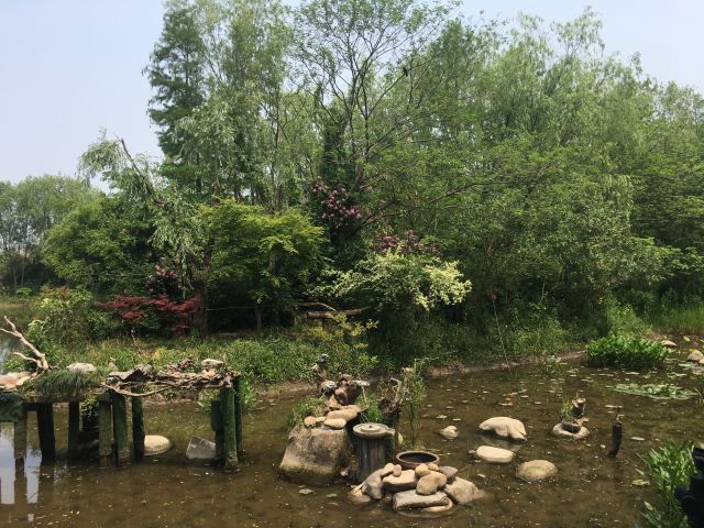 新江湾湿地生态观鸟拍鸟基地旅行图片 10
