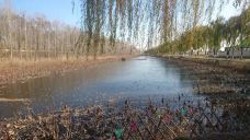 白洋淀风景区-雄县-yuyanjia~