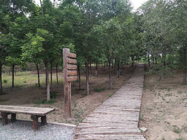 中关村公园旅行图片 2