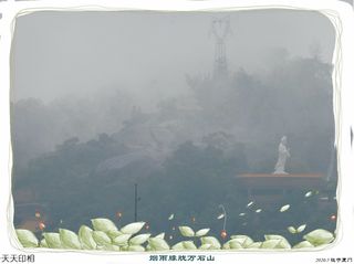 烟雨蒙蒙厦门万石山远眺