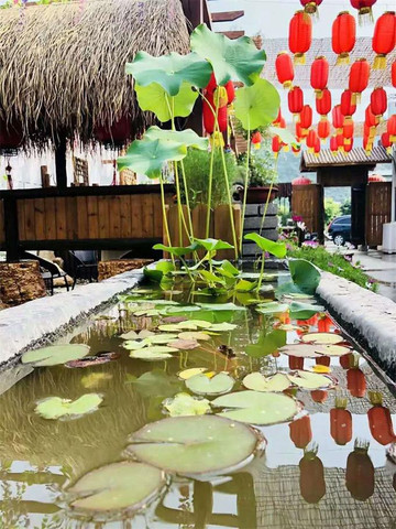 藍天下的薊縣蘊祥農家院美極了，還有他家特色美食，吃過就忘不了。