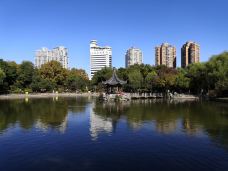 和平公园-上海-BetTerDAY