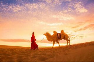 季羡林:把心留在敦煌