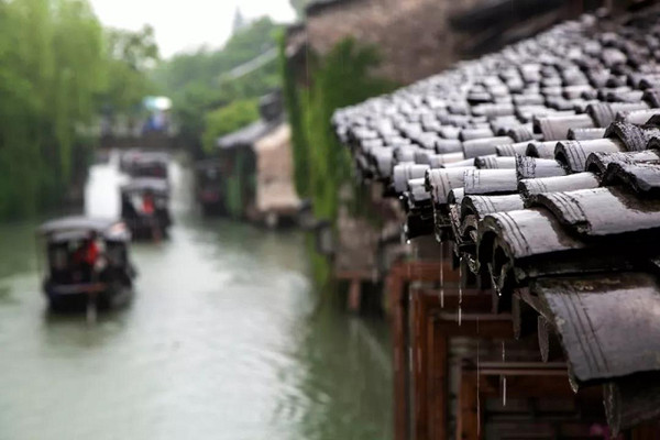这个六月，属于我们的乌镇之旅