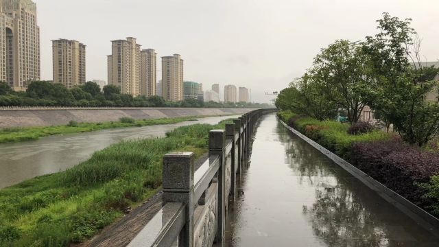 青年湖公园旅行图片 1