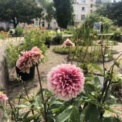 Botanischer Garten Botanical Garden Of The University Of Vienna