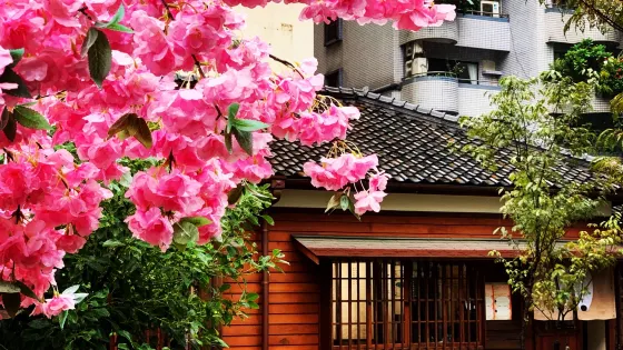 桃園77藝文町