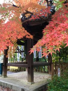 兴正寺-名古屋-东京浪人