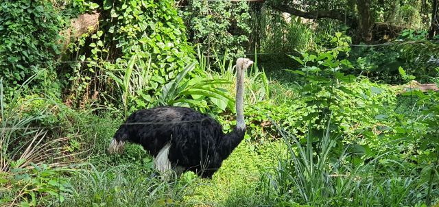 Taipei Zoo