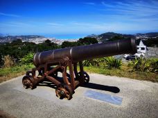 维多利亚山-惠灵顿-YoYo_5Z6N4L7T